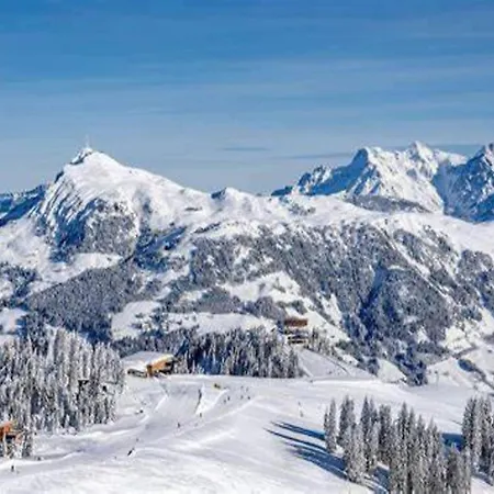 In Near Slopes, Cleaning Included